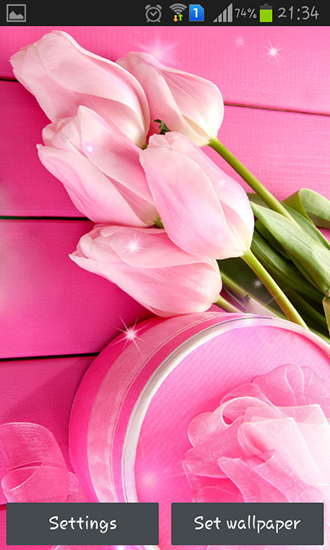 Full version of Android apk livewallpaper Pink tulips for tablet and phone.