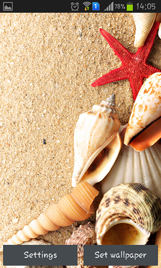 Full version of Android apk livewallpaper Seashells for tablet and phone.
