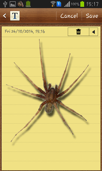 Full version of Android apk livewallpaper Spider in phone for tablet and phone.