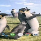 Download live wallpaper Arctic Penguin for free and India clock by iPlay Store for Android phones and tablets .