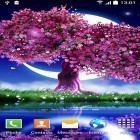 Cherry in blossom apk - download free live wallpapers for Android phones and tablets.