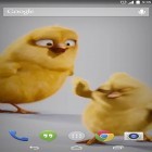 Chickens apk - download free live wallpapers for Android phones and tablets.
