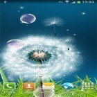 Download live wallpaper Dandelions by Amax LWPS for free and Beautiful sky for Android phones and tablets .
