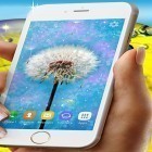 Download live wallpaper Dandelions for free and Funny hamster: Cracked screen for Android phones and tablets .