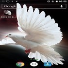 Download live wallpaper Dove 3D for free and Water drops by Top Live Wallpapers for Android phones and tablets .