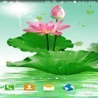 Download live wallpaper Lotus by villeHugh for free and Spring landscapes for Android phones and tablets .
