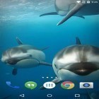 Download live wallpaper Ocean 3D: Dolphin for free and Cute lovers for Android phones and tablets .