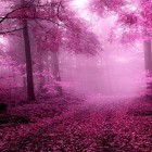 Download live wallpaper Pink forest for free and Floral for Android phones and tablets .