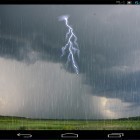 Download live wallpaper Rain by mathias stavrou for free and Scottish fold cat for Android phones and tablets .
