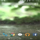 Real rain apk - download free live wallpapers for Android phones and tablets.