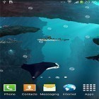 Sharks 3D by BlackBird Wallpapers apk - download free live wallpapers for Android phones and tablets.