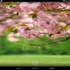 Download live wallpaper Spring flowers by orchid for free and Papercraft for Android phones and tablets .