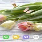 Download live wallpaper Tulips by Live Wallpapers 3D for free and Halloween by Beautiful Wallpaper for Android phones and tablets .