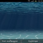 Download live wallpaper Under the sea by Glitchshop for free and Scottish fold cat for Android phones and tablets .