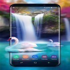 Download live wallpaper Waterfall and swan for free and Rose: Raindrop for Android phones and tablets .