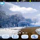 Download live wallpaper Winter snowfall by AppQueen Inc. for free and Sky birds for Android phones and tablets .