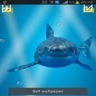 Download live wallpaper Angry shark: Cracked screen for free and Water by Live mongoose for Android phones and tablets .