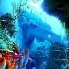 Download live wallpaper Aquarium by Cool free apps for free and Night for Android phones and tablets .