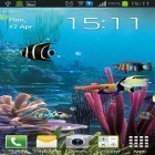 Download live wallpaper Aquarium by Cowboys for free and Hibiscus 3D for Android phones and tablets .