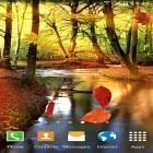 Download live wallpaper Autumn forest for free and Husky for Android phones and tablets .