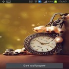 Download live wallpaper Best time for free and Golden sunflower for Android phones and tablets .