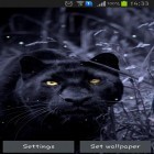 Download live wallpaper Black panther for free and Bit day for Android phones and tablets .