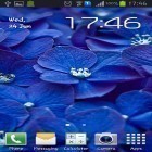 Download live wallpaper Blue flowers for free and Canada night for Android phones and tablets .