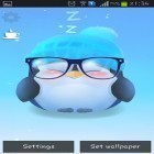 Download live wallpaper Chubby penguin for free and White rose by HQ Awesome Live Wallpaper for Android phones and tablets .