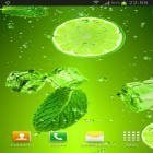 Download live wallpaper Cocktails and drinks for free and Angry shark: Cracked screen for Android phones and tablets .