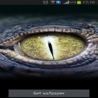 Download live wallpaper Crocodile eyes for free and Water by Live mongoose for Android phones and tablets .
