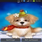 Download live wallpaper Cute puppy for free and Letter for Android phones and tablets .
