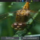 Download live wallpaper Dragonfly for free and Number bubbles for kids for Android phones and tablets .
