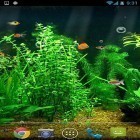 Fishbowl apk - download free live wallpapers for Android phones and tablets.
