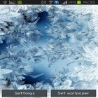 Download live wallpaper Frozen glass by Frisky lab for free and Colibries for Android phones and tablets .