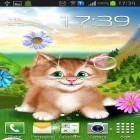 Download live wallpaper Kitten for free and Canada night for Android phones and tablets .