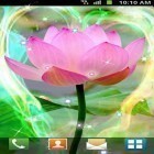 Download live wallpaper Lotus by Venkateshwara apps for free and Flatland for Android phones and tablets .