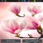 Download live wallpaper Magnolia for free and Raindrop for Android phones and tablets .