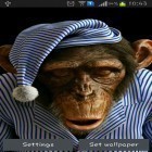 Download live wallpaper Monkey 3D for free and Butterfly by HQ Awesome Live Wallpaper for Android phones and tablets .