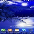 Download live wallpaper Night beach for free and Letter for Android phones and tablets .