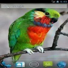 Download live wallpaper Parrot by Wpstar for free and Talking Ted for Android phones and tablets .