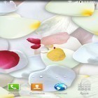 Download live wallpaper Petals 3D by Blackbird wallpapers for free and Ocean: Whale for Android phones and tablets .