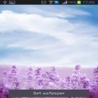 Download live wallpaper Purple lavender for free and Snowfall by Top Live Wallpapers Free for Android phones and tablets .