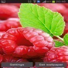 Download live wallpaper Raspberries for free and Glowing flowers by Free Wallpapers and Backgrounds for Android phones and tablets .