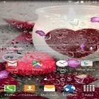 Download live wallpaper Romantic by Blackbird wallpapers for free and Magic garden by Jango LWP Studio for Android phones and tablets .