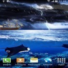 Download live wallpaper Storm for free and Dollars for Android phones and tablets .