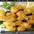Download live wallpaper Roses and love for free and Dreamcatcher by Niceforapps for Android phones and tablets .