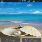 Download live wallpaper Seashells for free and Thunderstorm by Creative Factory Wallpapers for Android phones and tablets .
