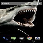 Download live wallpaper Shark 3D for free and Canada night for Android phones and tablets .