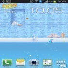 Download live wallpaper Shark dash for free and Chrooma Float for Android phones and tablets .