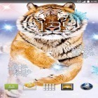 Download live wallpaper Snow tiger for free and Aquarium for Android phones and tablets .